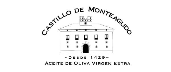 Logo castillo de monteagudo