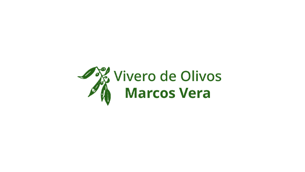 Vivero de Olivos Marcos Vera